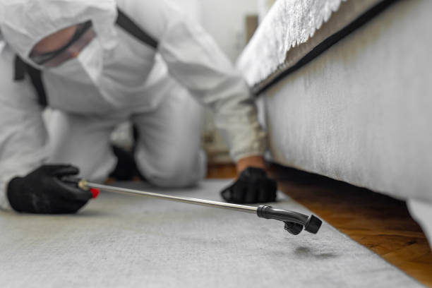 Professional Bed Bug Control technician working in Marysville, KS