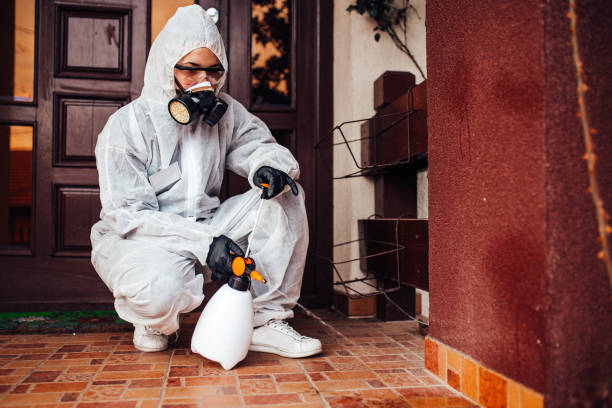 Reliable Bed Bug Control contractor in Marysville, KS by Nex Pest Control