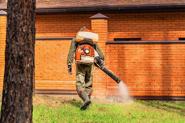 Trusted Termite Control service in Marysville, KS - Nex Pest Control